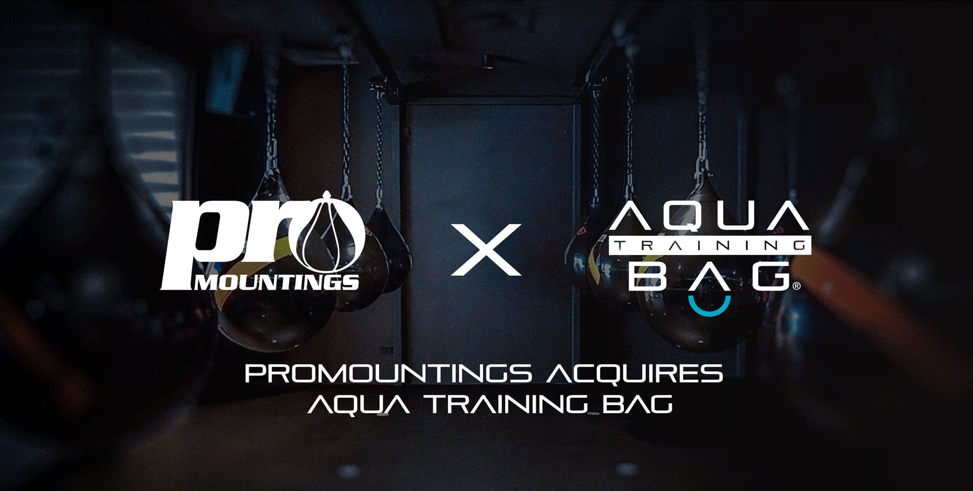 Aqua Training Bag Water Filled Punching Bags & Official Boxing Gear