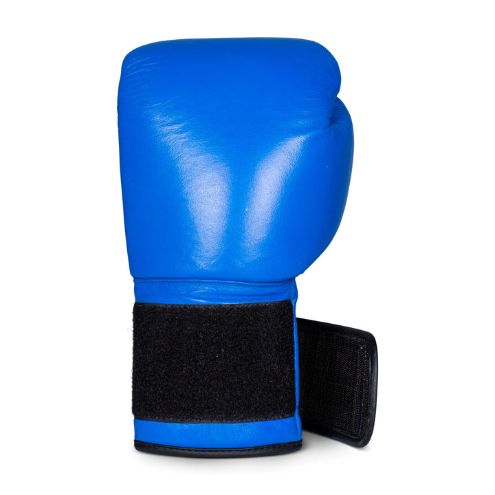 Aqua Training Bag® Classic Boxhandschuh