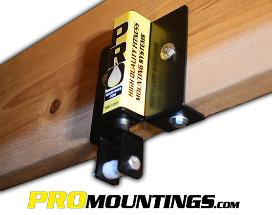 RM-1000 Rafter Mount